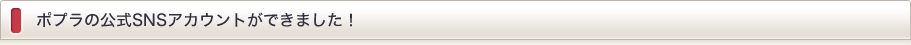 ポプラの公式SNSアカウントができました！